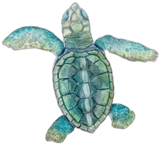 Blue turtle